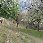 Апартаменты Unterschwabegghof