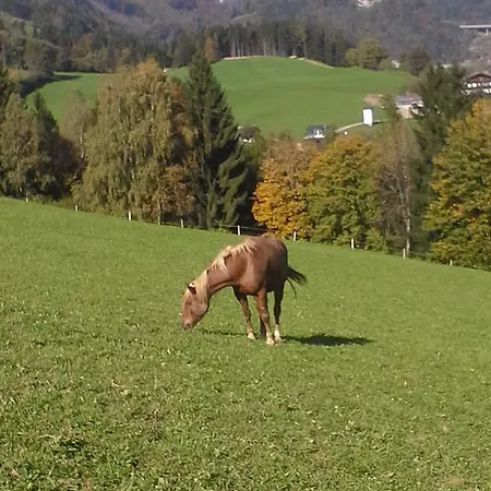 Unterschwabegghof * Werfen