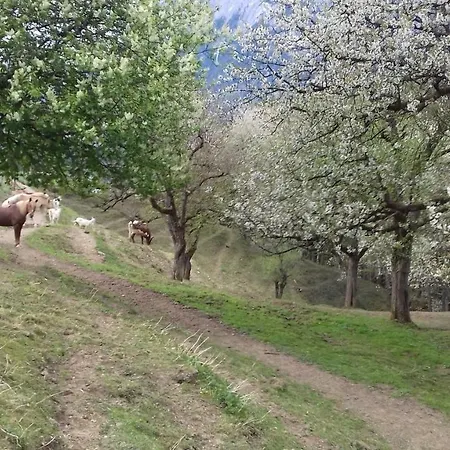 Διαμέρισμα Unterschwabegghof