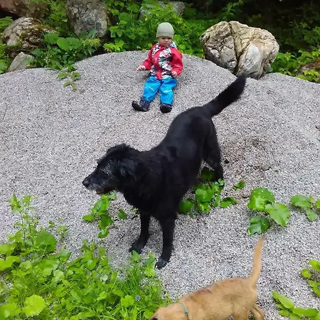 Διαμέρισμα Unterschwabegghof *