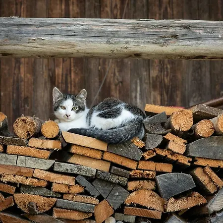 Διαμέρισμα Unterschwabegghof