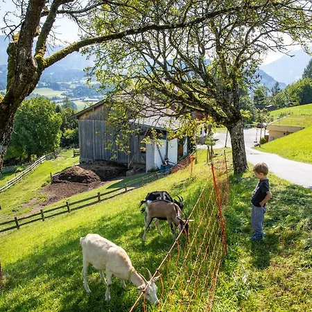 Unterschwabegghof Apartmán Werfen